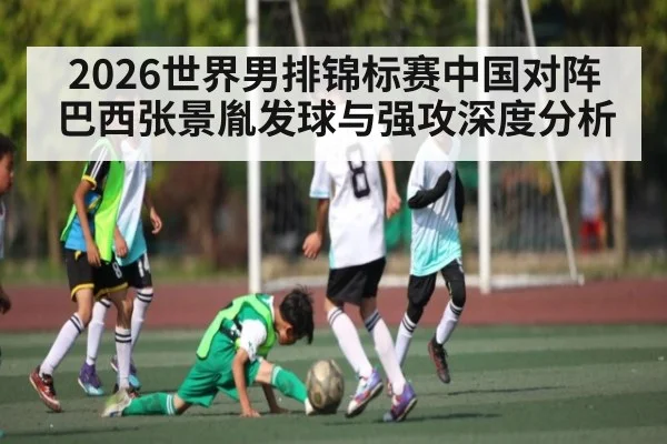 2026世界男排锦标赛中国对阵巴西张景胤发球与强攻深度分析